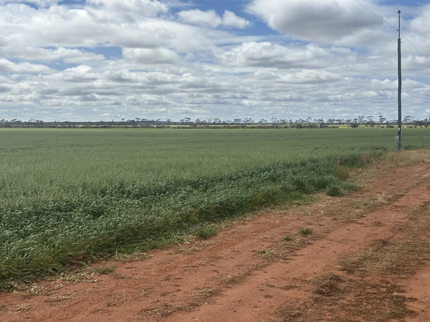 Additional image 20 of 3279 Calzoni Road, Hyden WA 6359