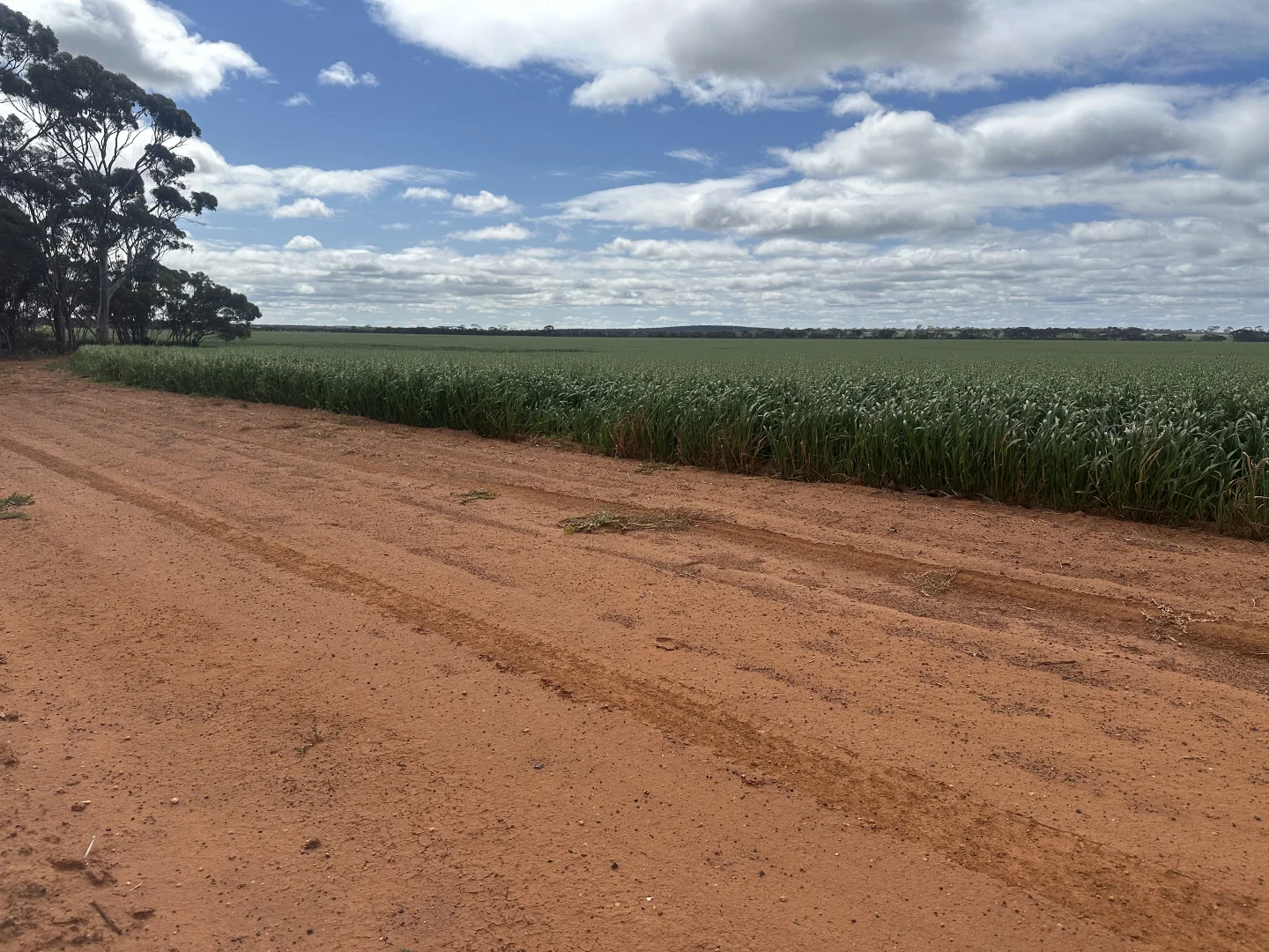 Additional image 31 of 3279 Calzoni Road, Hyden WA 6359