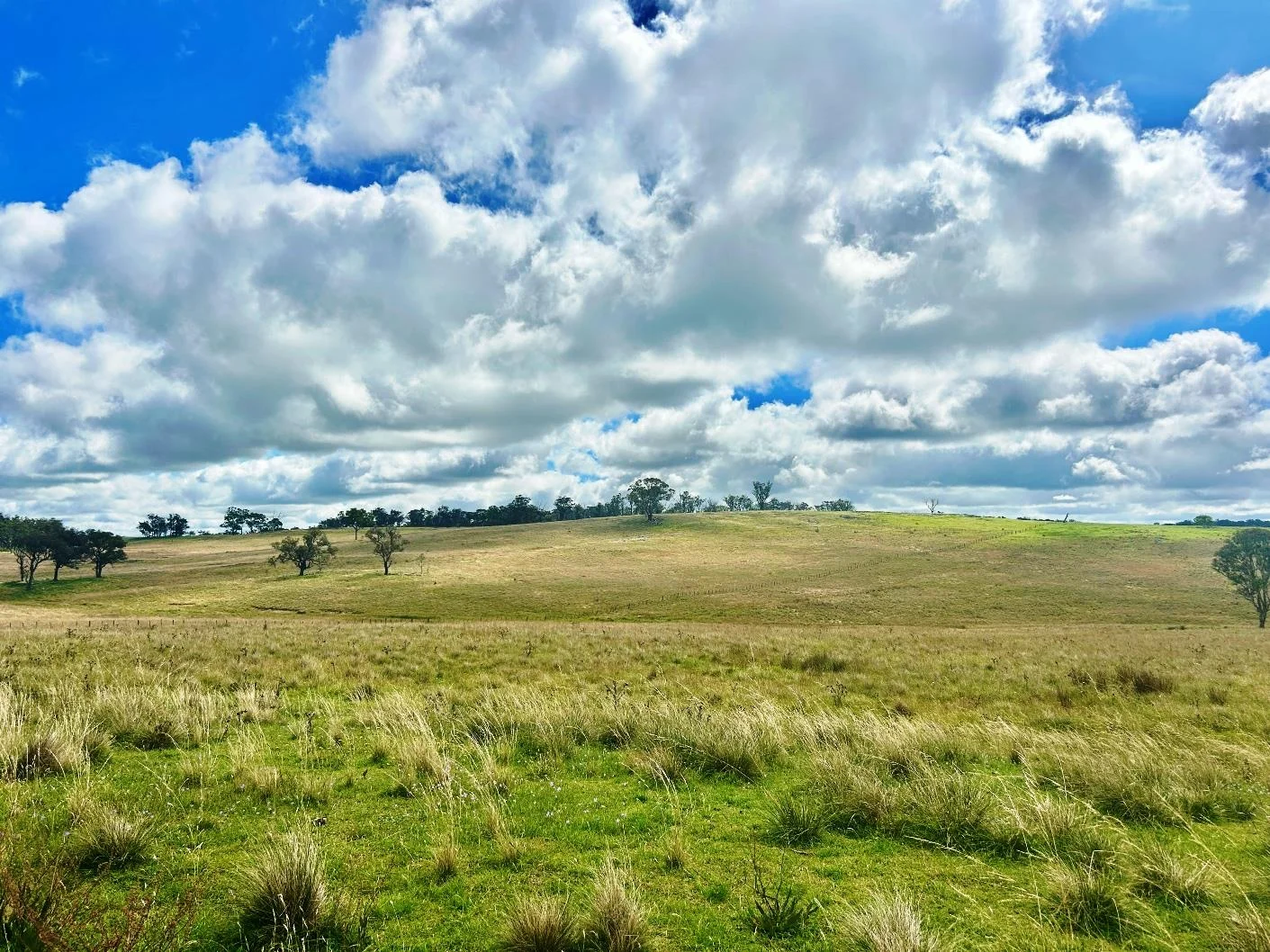 Additional image 9 of 1815 Hillview Road, Uralla NSW 2358