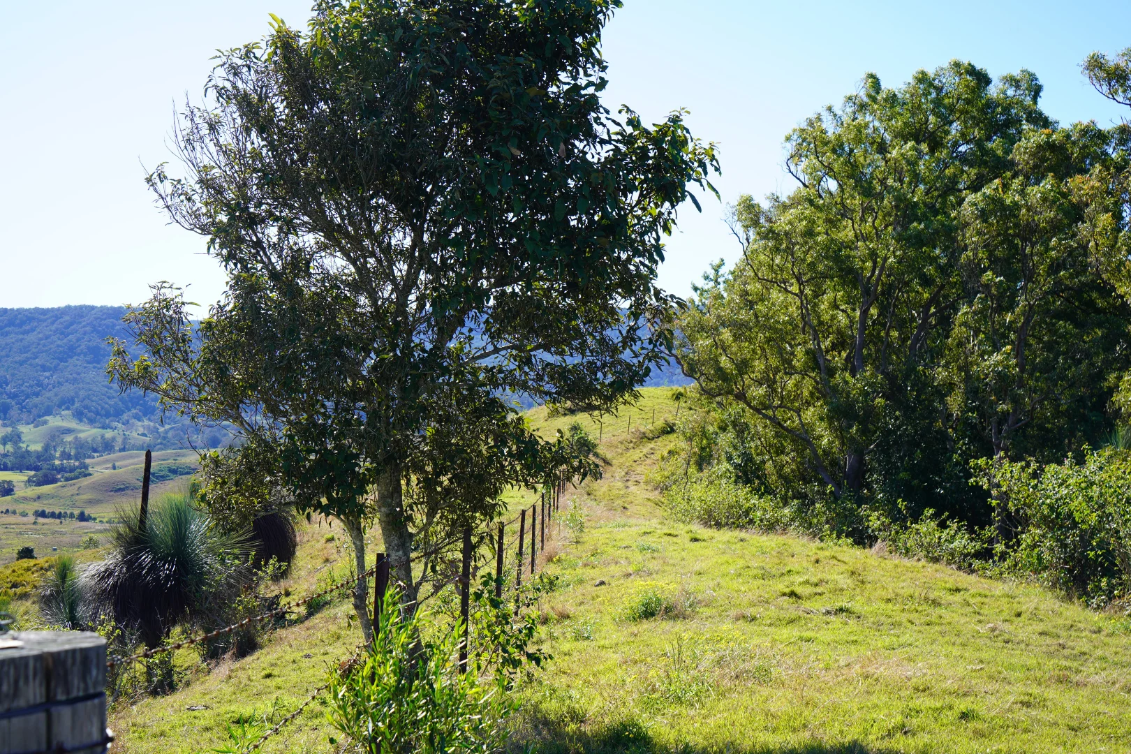 Additional image 33 of 2425 Pine Creek Rd, Lismore NSW 2480