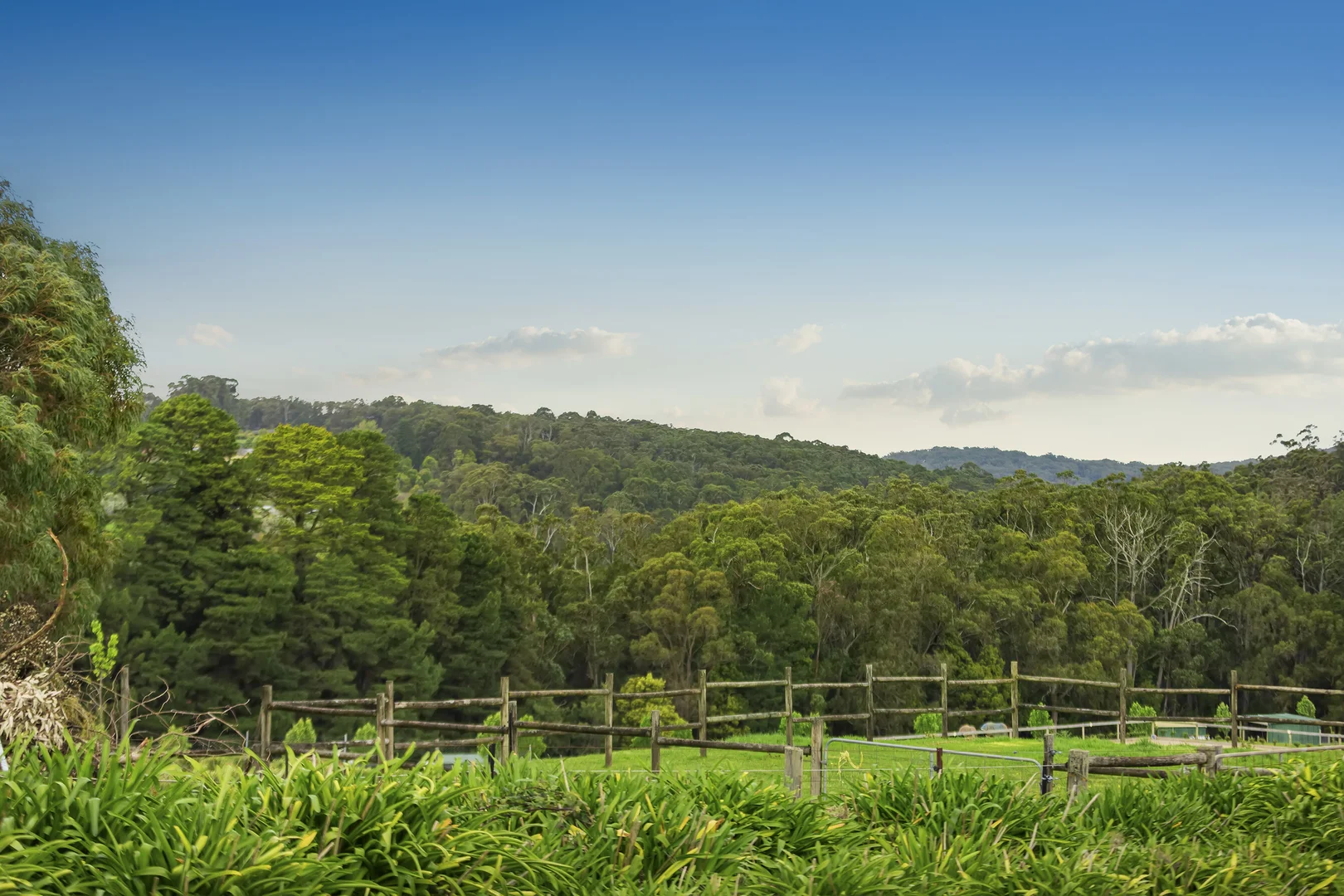 Additional image 19 of 134 Monbulk Road, Mount Evelyn VIC 3796