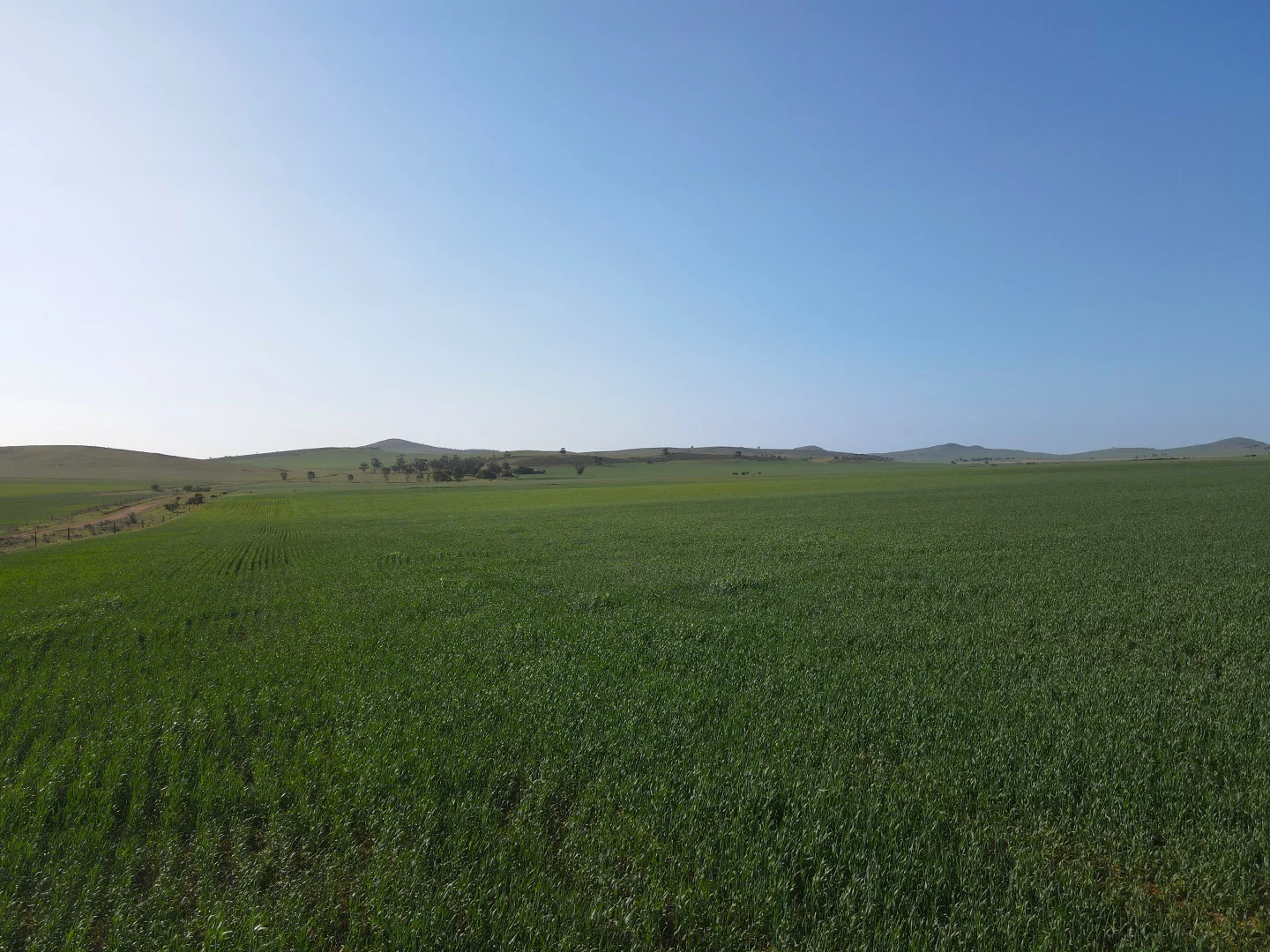 Additional image 10 of 274E Melrose Road, Pekina SA 5431