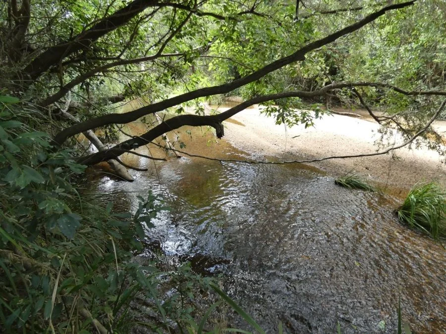 Additional image 2 of 397 Mollenhagens Road, Rosedale QLD 4674