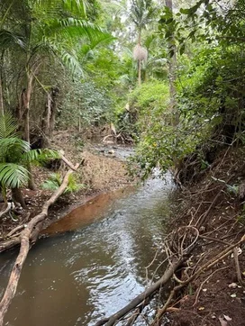 Additional image 8 of Ravensbourne QLD 4352