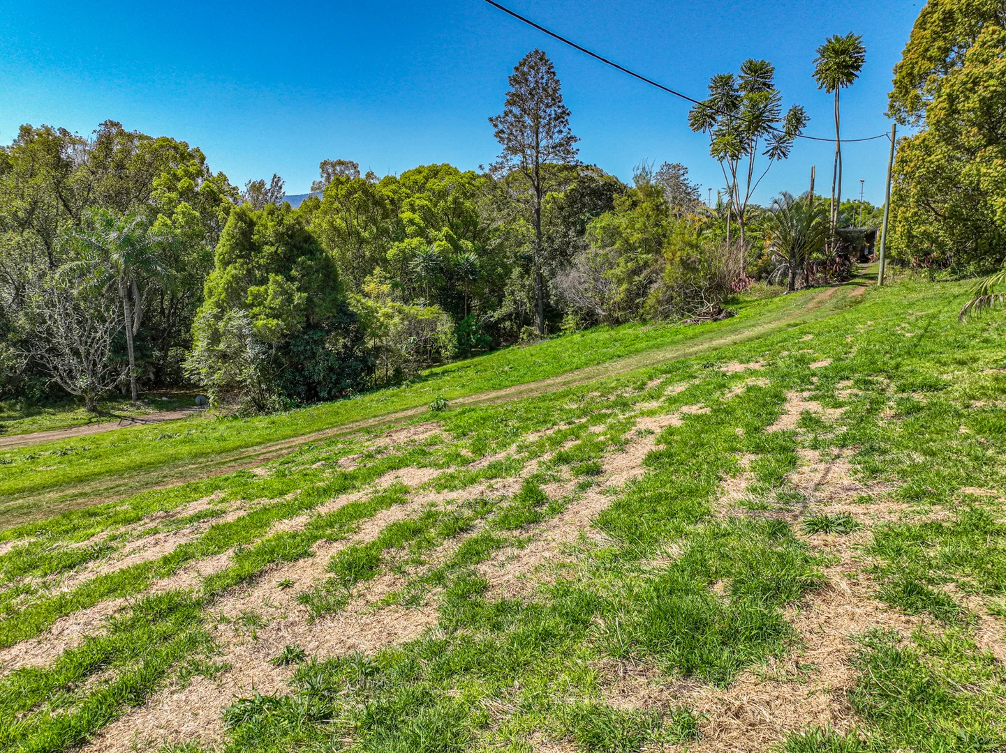 Additional image 30 of 110 Cullen Street, Nimbin NSW 2480