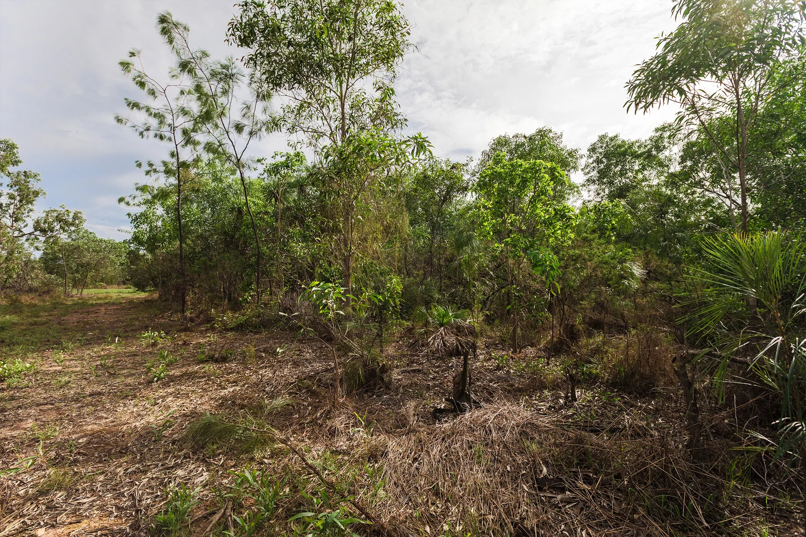 Additional image 4 of 56 Dowling Rd, Virginia NT 0834