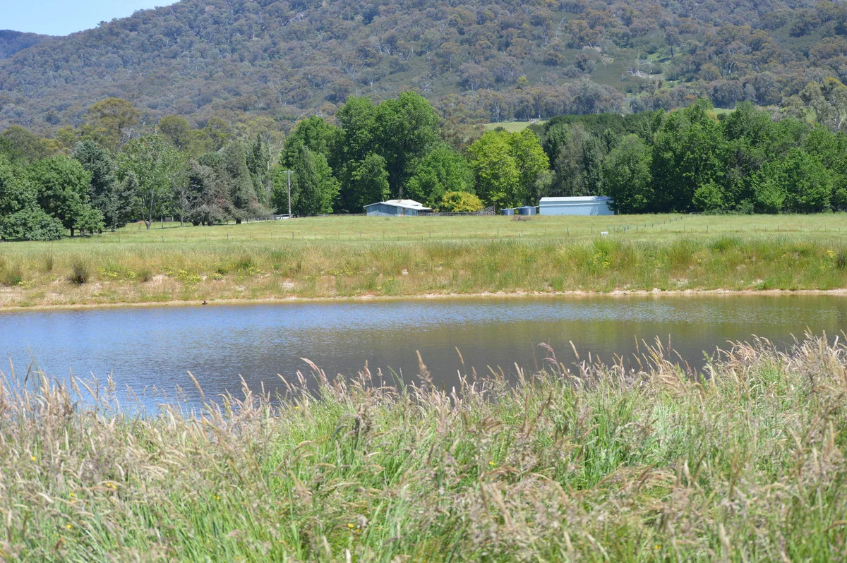 Additional image 17 of 672 Lima East Road, Lima East VIC 3673