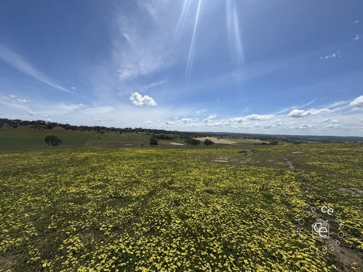 Additional image 13 of Lot 631 Burns Road, Mount Pleasant SA 5235