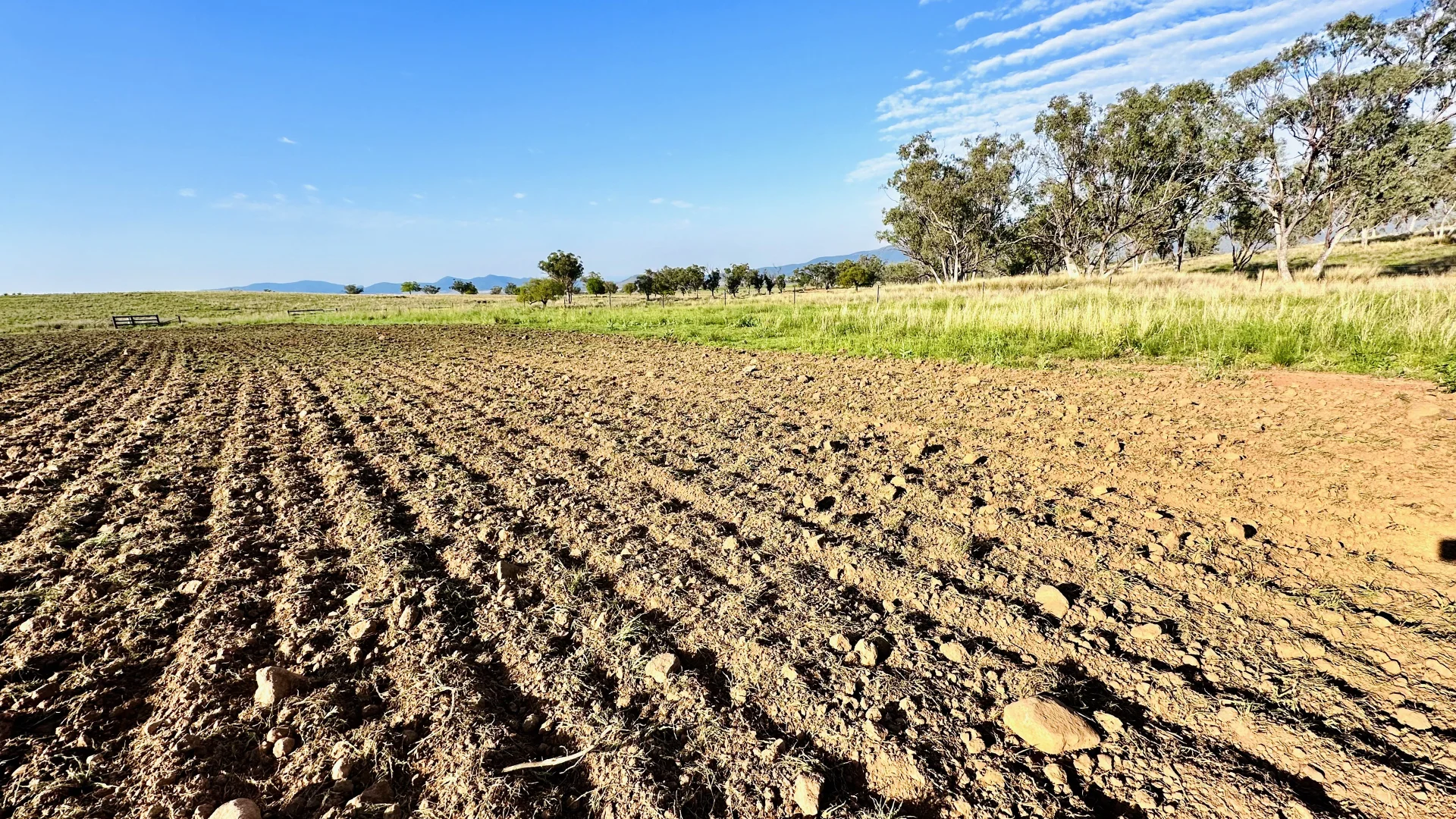 Additional image 6 of 450 Bridges Road, Gunnedah NSW 2380