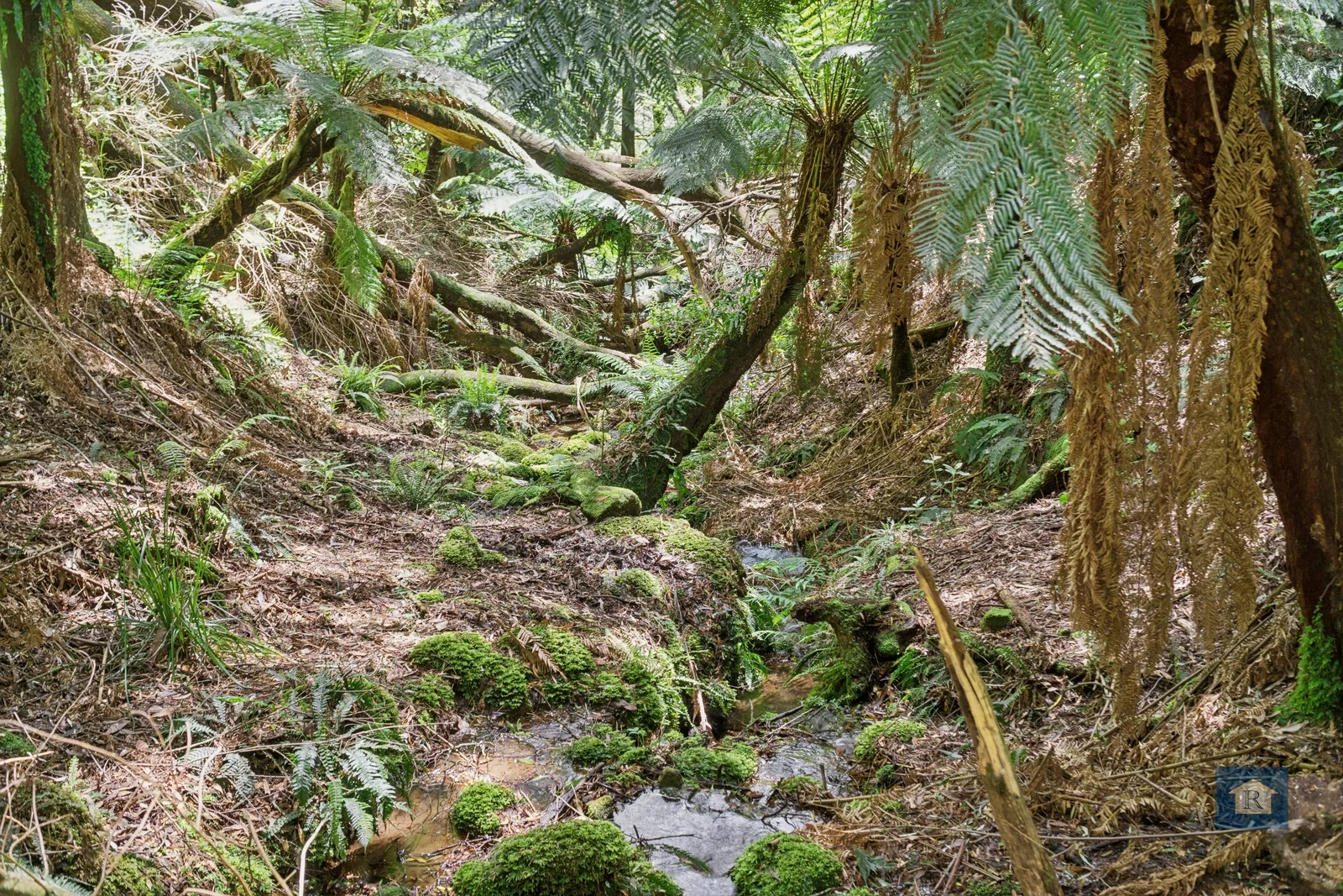 Additional image 11 of 59 Southorn Street, Beech Forest VIC 3237