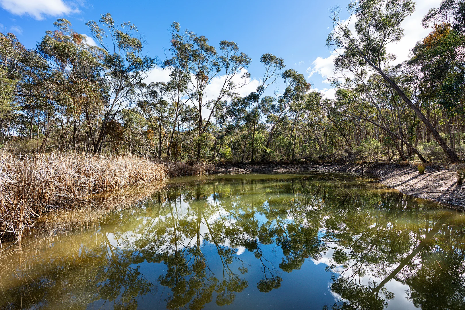 Additional image 17 of 132 Nalya Court, Drummond North VIC 3446