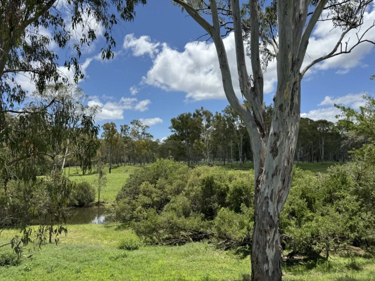 Additional image 21 of 2655 Clonmel Road, Monto QLD 4630