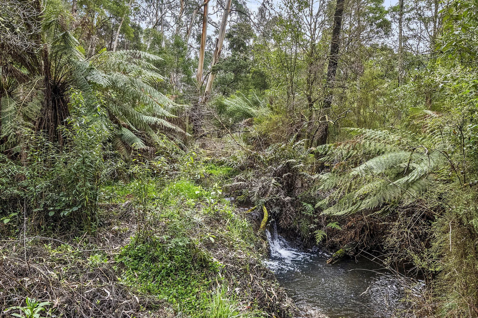 Additional image 24 of 72 Shoreham Road, Red Hill South VIC 3937