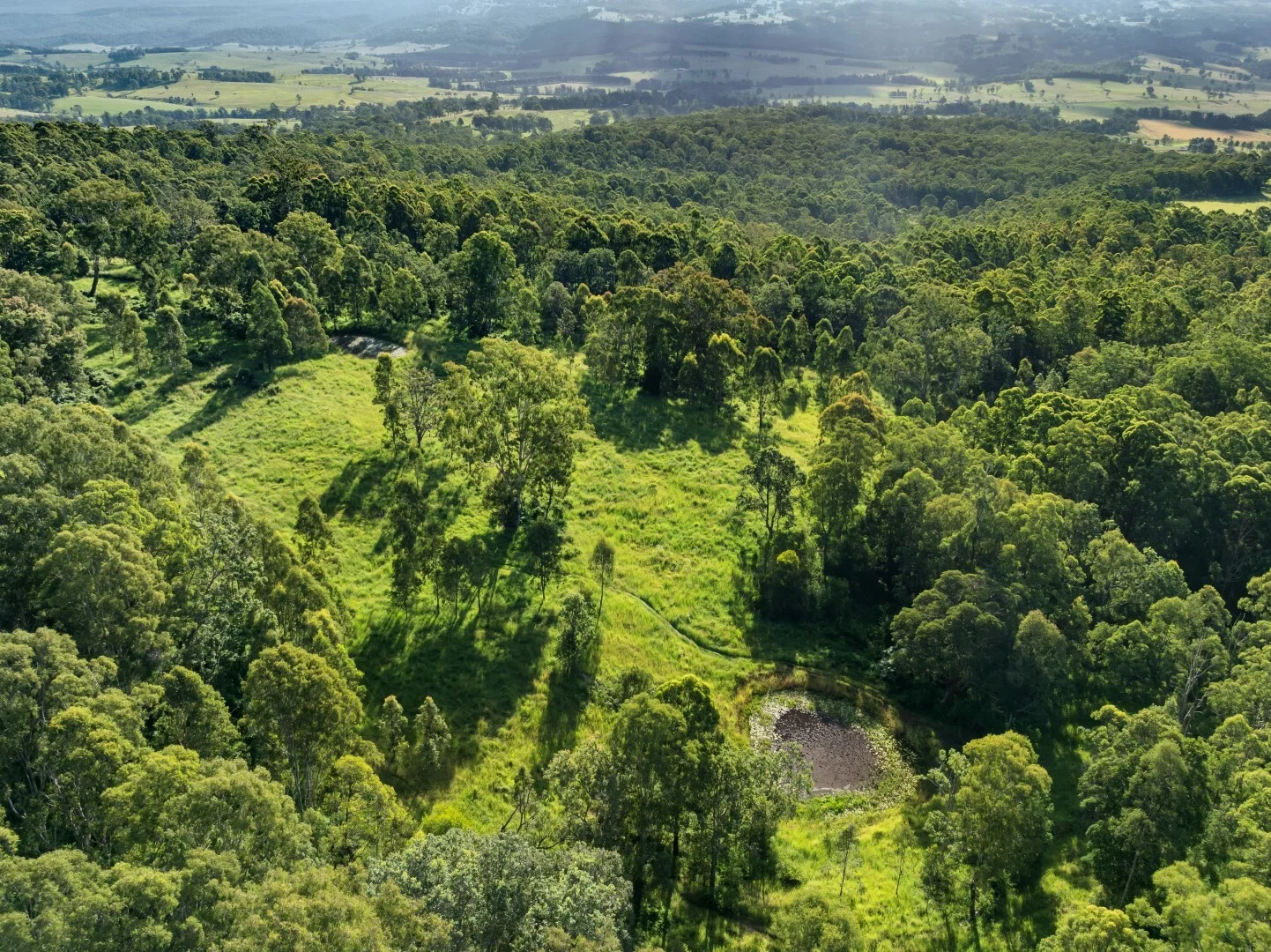 Additional image 20 of 62-69 Duck Creek Road, Bonalbo NSW 2469
