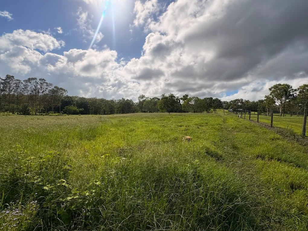 Additional image 5 of 25 Flaggy Rock Road, Clairview QLD 4741