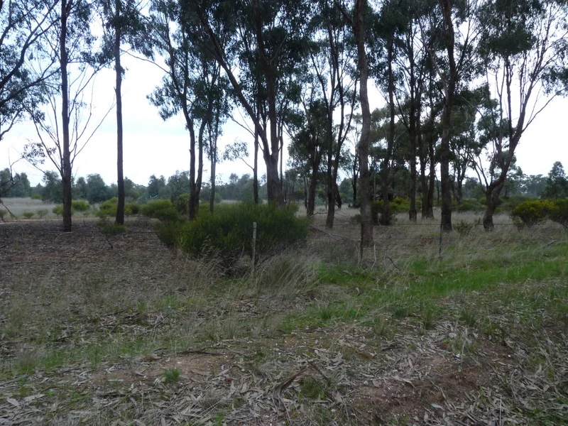 Additional image 10 of Lot 50 Wedderburn Junction East-Fiery Flat Road, Wedderburn VIC 3518