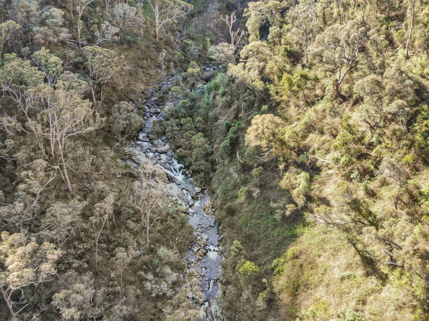 Additional image 10 of 837 Goobarragandra Road, Tumut NSW 2720