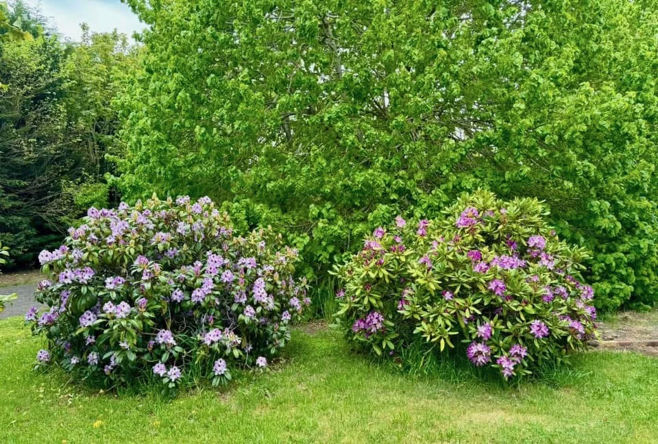 Additional image 27 of 299 Stag Road, Kingston VIC 3364