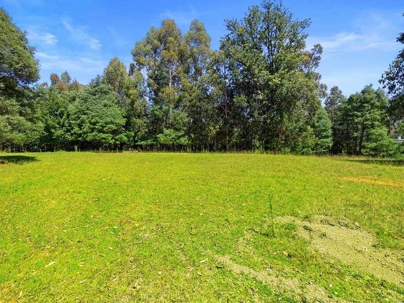 Additional image 10 of 22 Woods Point Road, Marysville VIC 3779