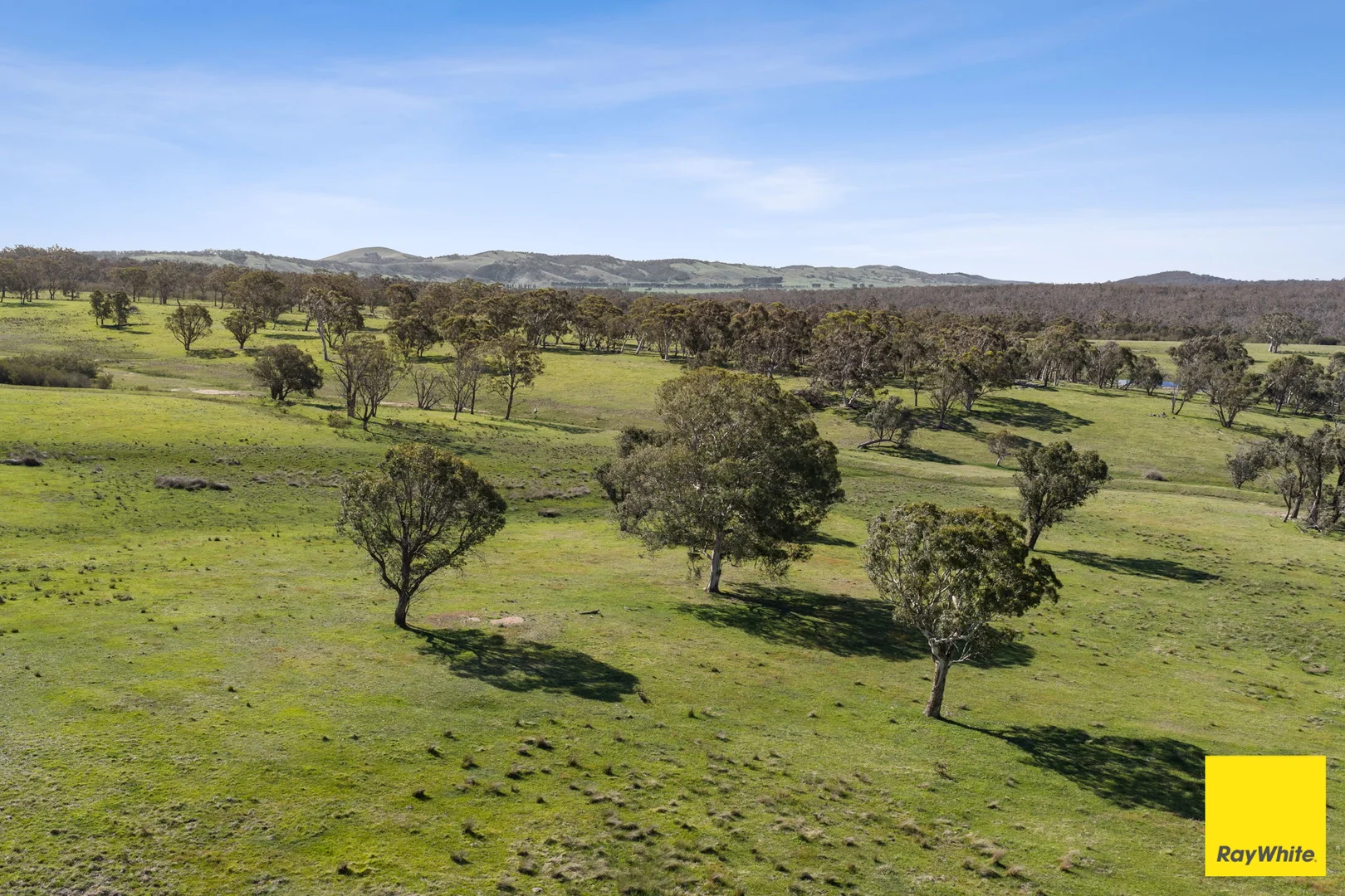 Additional image 35 of 115 Goulburn Road, Mulloon NSW 2622