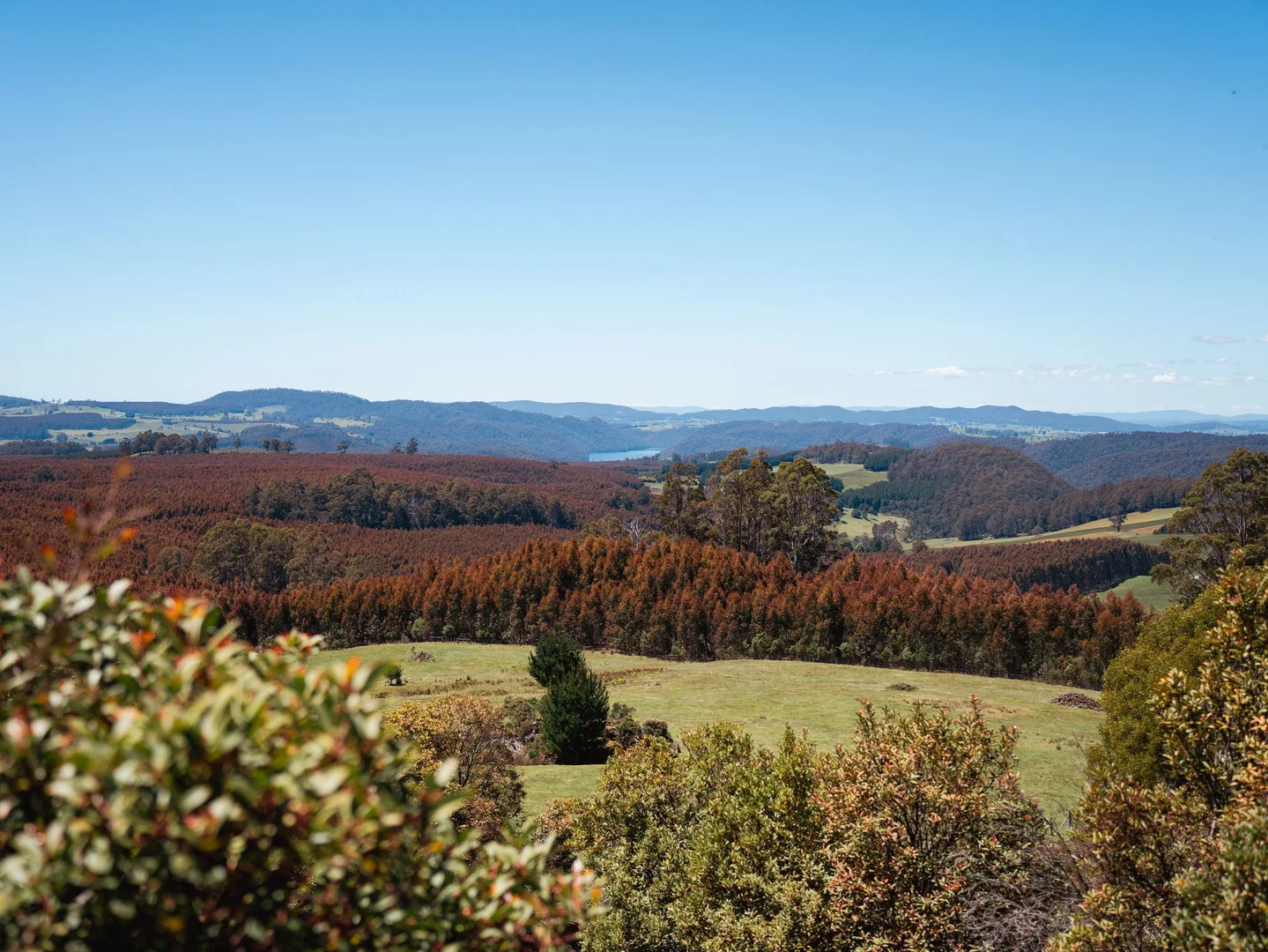 Additional image 37 of 38 Kop Road, Erriba TAS 7310