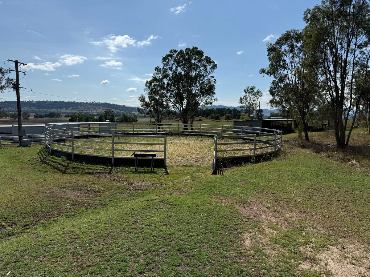 Additional image 11 of 347 Warrah Ridge Road, Quirindi NSW 2343