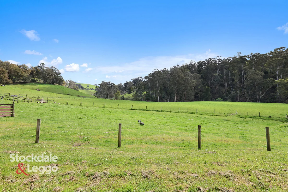 Additional image 26 of 140 Mirboo - Yarragon Road, Allambee South VIC 3871