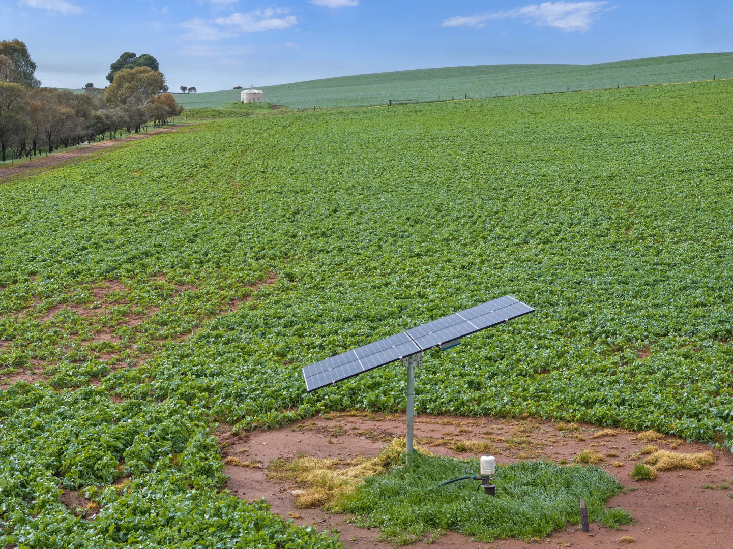 Additional image 7 of 'Hamilton Run Farm' Murchland Drive, Jamestown SA 5491