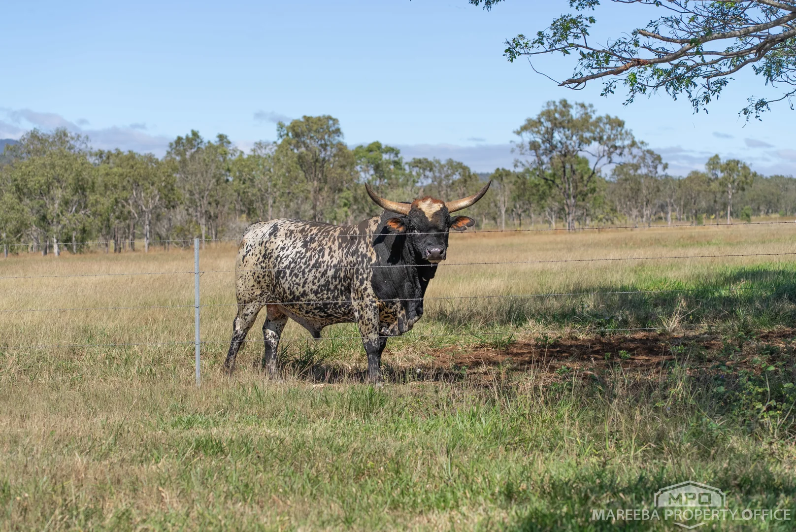 Additional image 59 of 76 Davies Creek Road, Mareeba QLD 4880