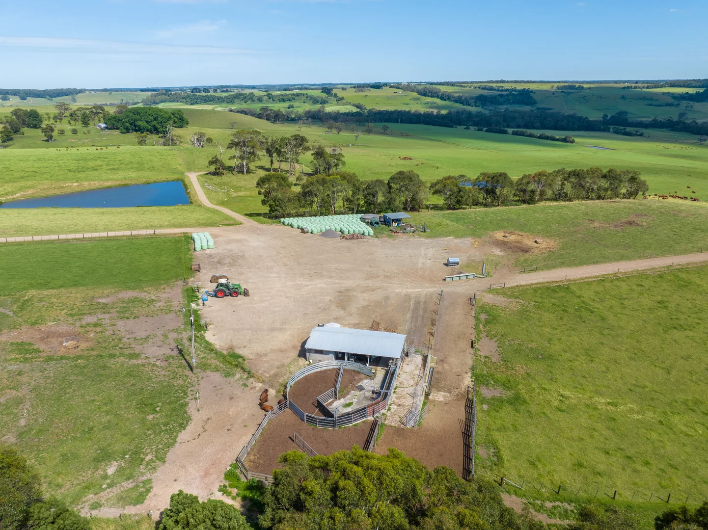 Additional image 9 of 876 Cobden Port Campbell Road, Scotts Creek VIC 3267