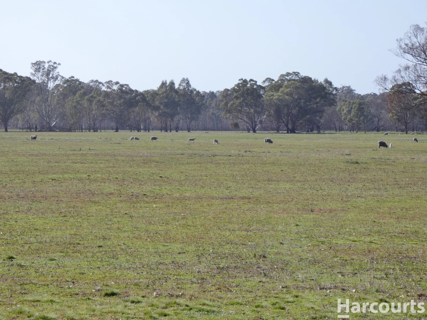 Additional image 18 of 6080 Western Highway, Dadswells Bridge VIC 3385