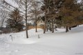 Additional image 29 of 6469 Northwood Dr, Ellicottville, NY, 14731