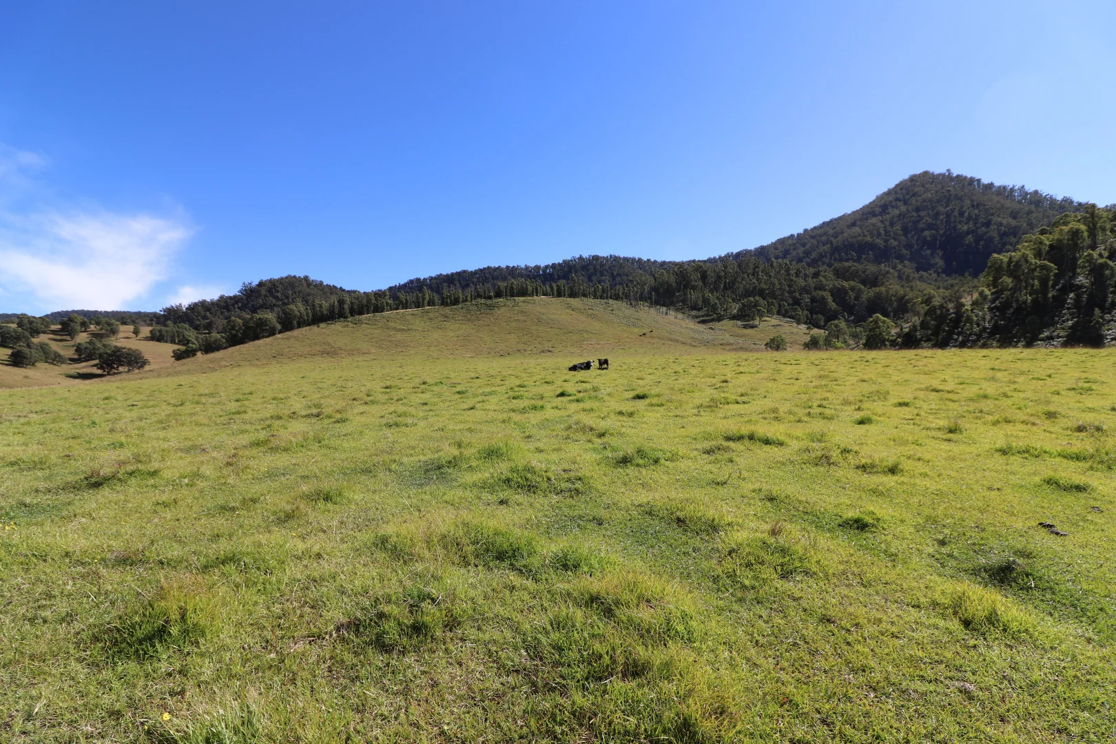 Additional image 12 of 2 Lower Creek Rd, Lower Creek NSW 2440