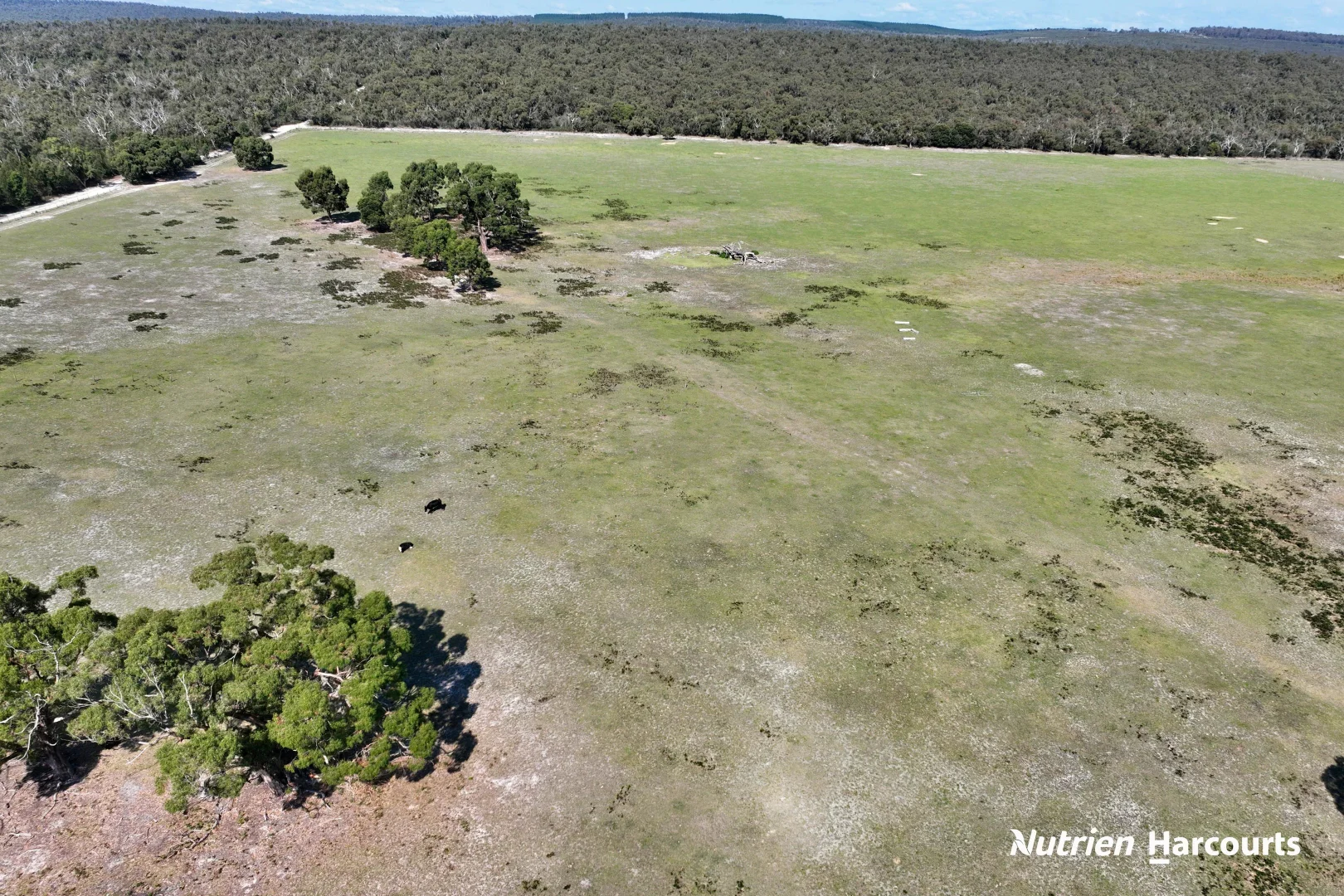 Additional image 26 of 178 Farrell Lane, Rosedale VIC 3847