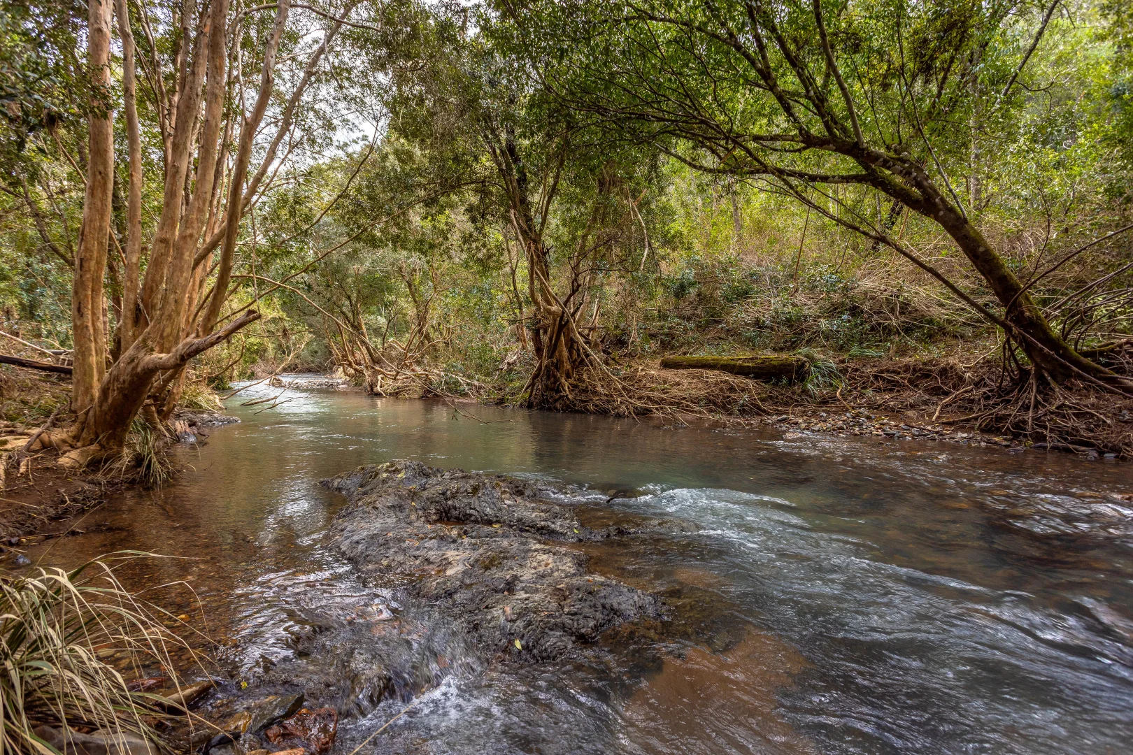 Additional image 13 of 791 Little Run Road, Wherrol Flat NSW 2429