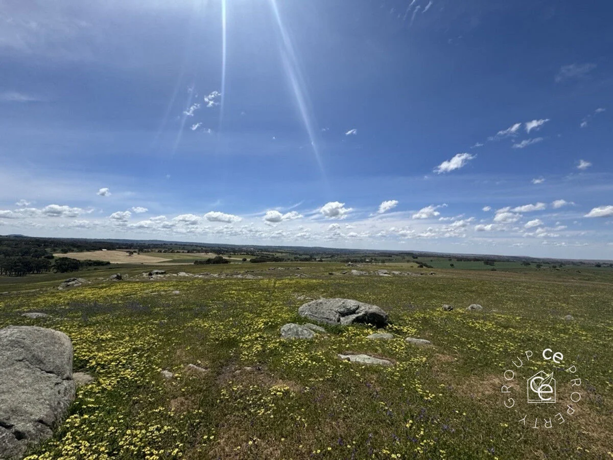 Additional image 12 of Lot 631 Burns Road, Mount Pleasant SA 5235