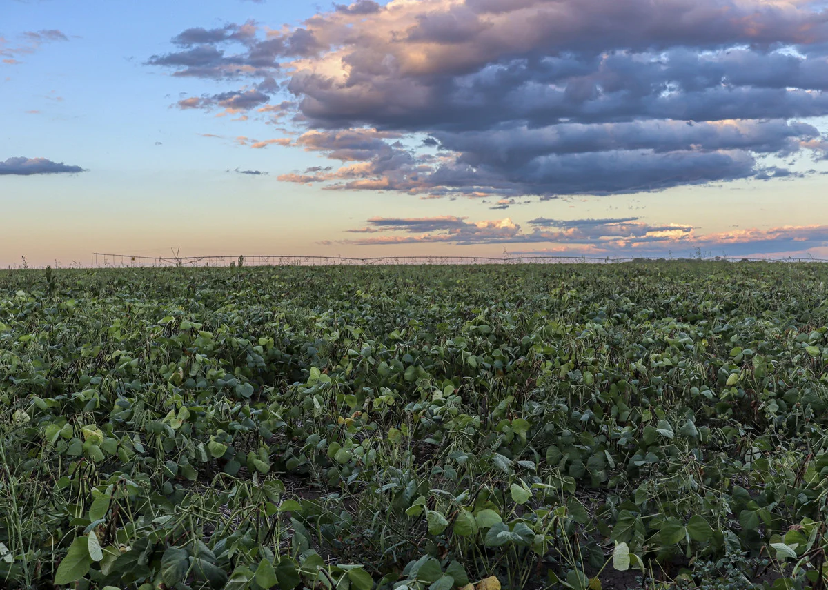Additional image 5 of 19 - 'Kelinda'/1411 Moura-Bindaree Road, Moura QLD 4718