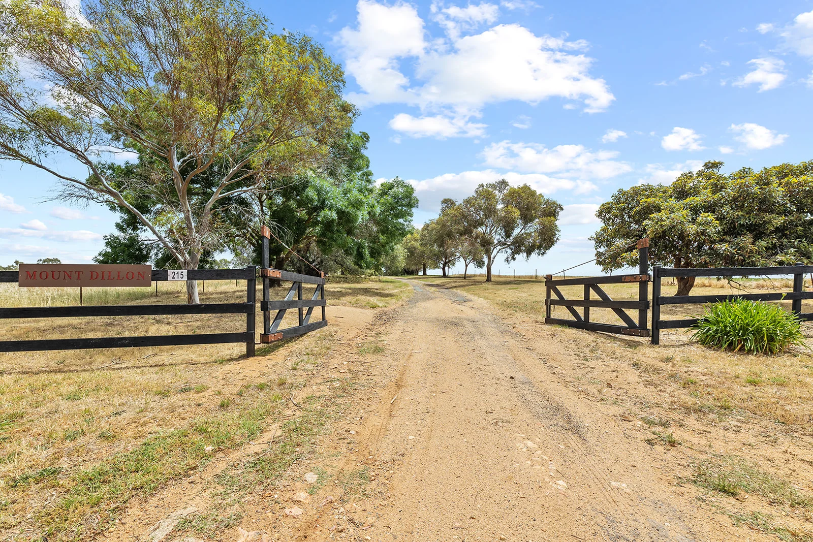 Additional image 5 of 215 Holman Road, Murrumburrah NSW 2587