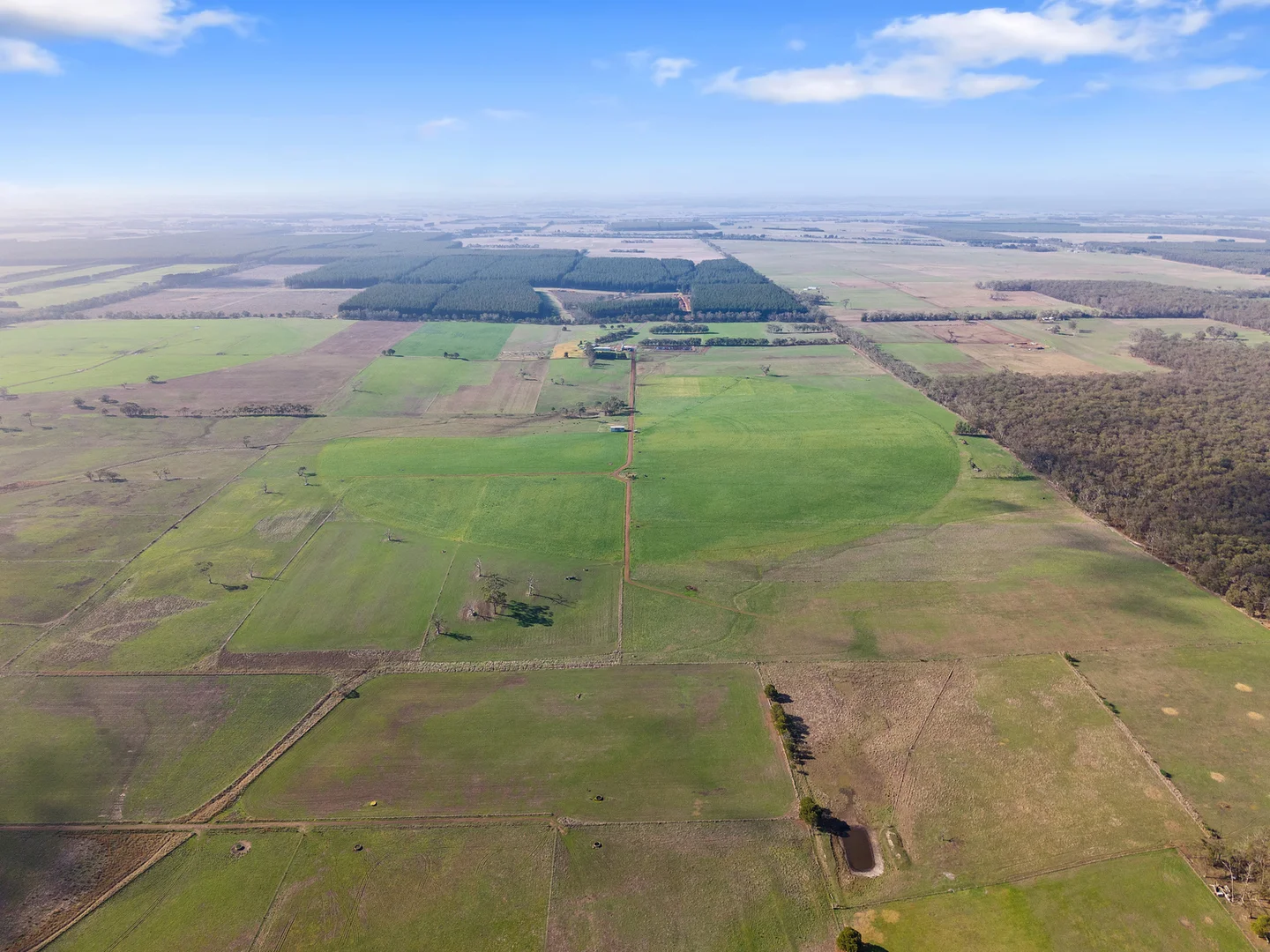 Additional image 33 of 140 Savins Road, Condah VIC 3303