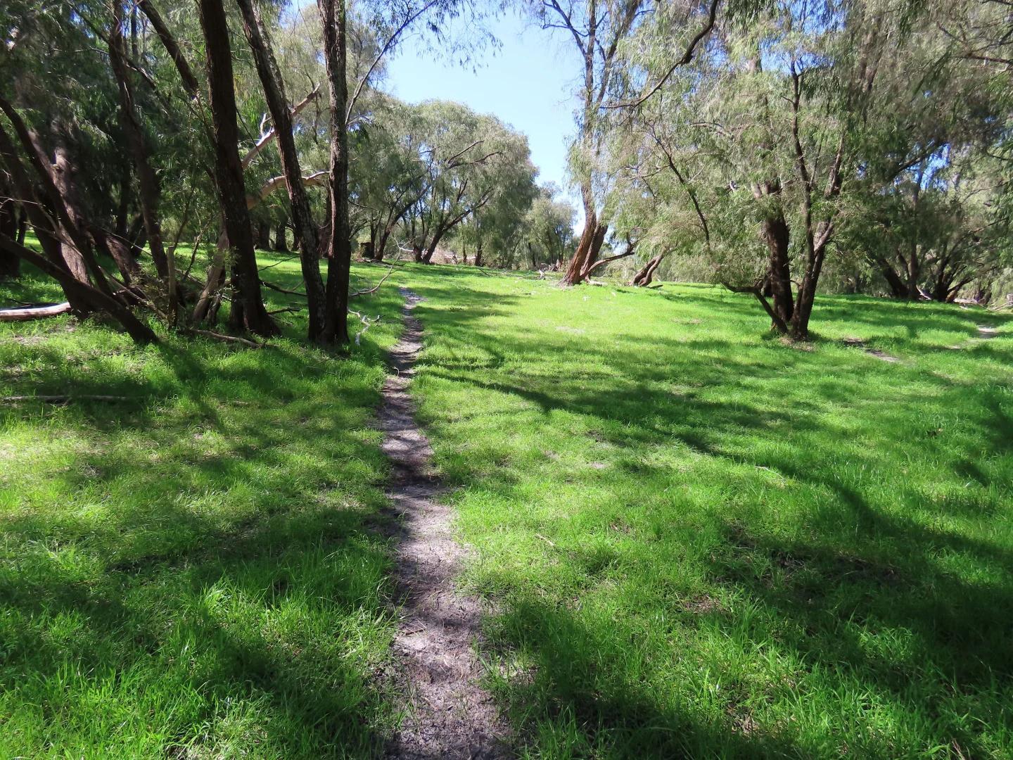 Additional image 2 of 39 Gibbs Road, Uduc WA 6220