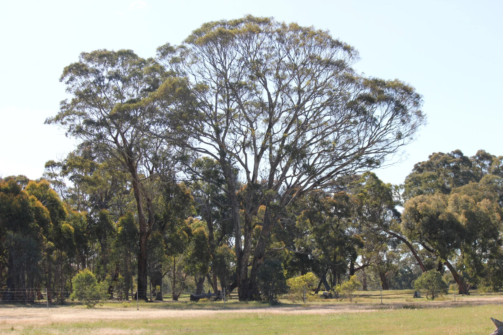 Additional image 17 of Lot 46 & 47 Pollards Road, Elphinstone VIC 3448