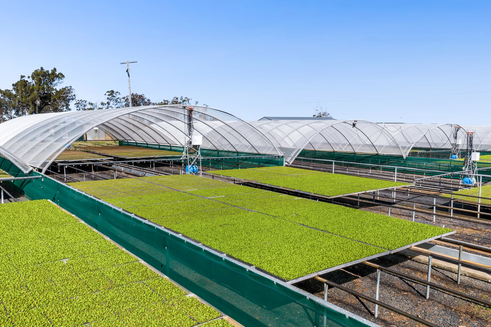 Additional image 23 of "Westview" 189 Toowoomba-Karara Road, Finnie QLD 4350