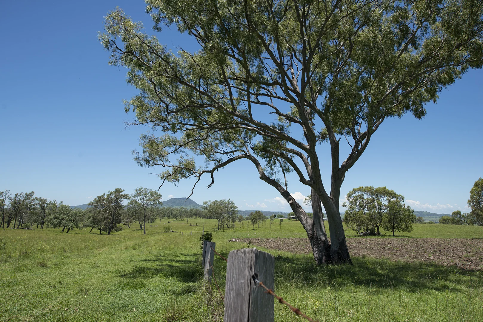 Additional image 15 of Corner Tralee & Waines Road, Mount Walker West QLD 4340