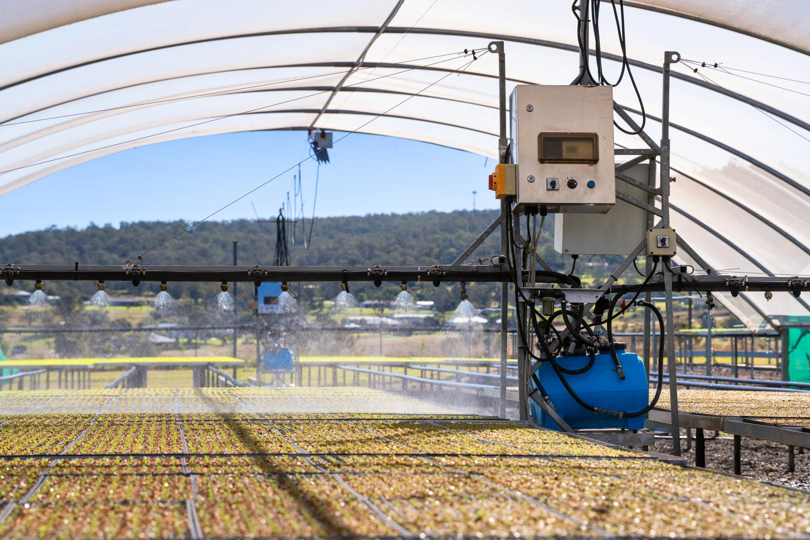 Additional image 24 of "Westview" 189 Toowoomba-Karara Road, Finnie QLD 4350