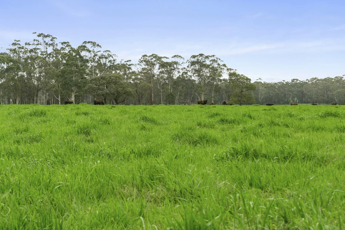 Additional image 10 of 101 Jancourt Forest Road, Carpendeit VIC 3260