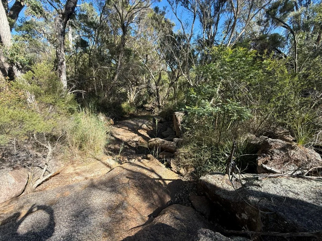 Additional image 37 of 149 Horans Gorge Rd, Fletcher QLD 4381