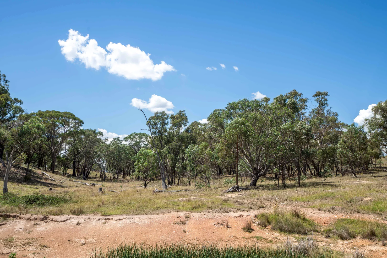 Additional image 17 of 1862 Euchareena Road, Euchareena NSW 2866