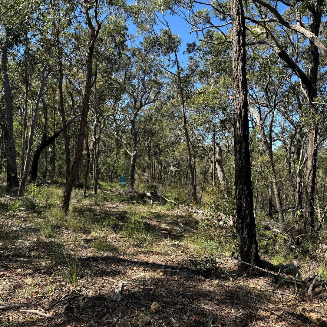 Additional image 3 of 22 Carrington Avenue, Pindimar NSW 2324