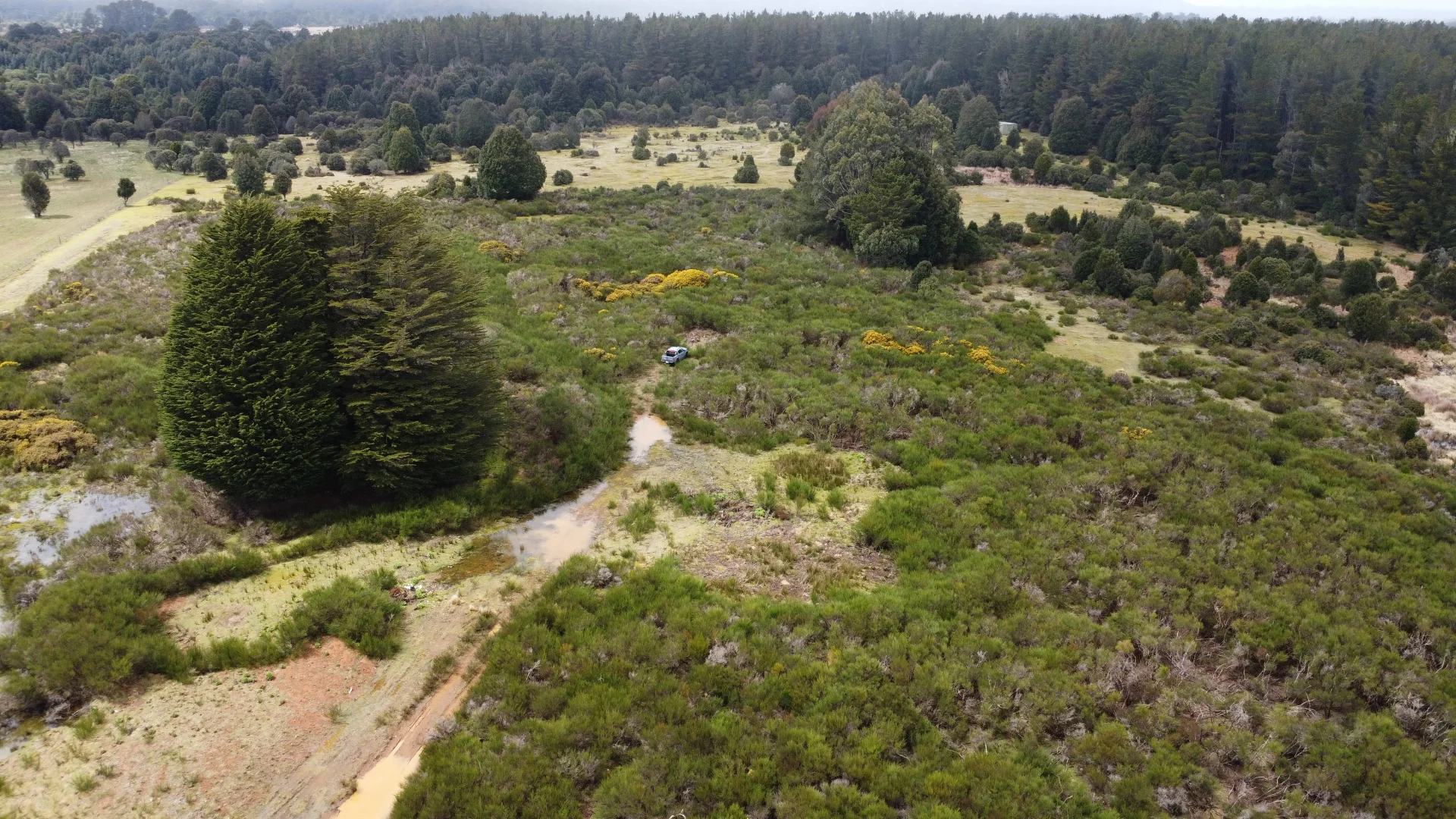 Additional image 10 of Lot 4 Waratah Road, Waratah TAS 7321