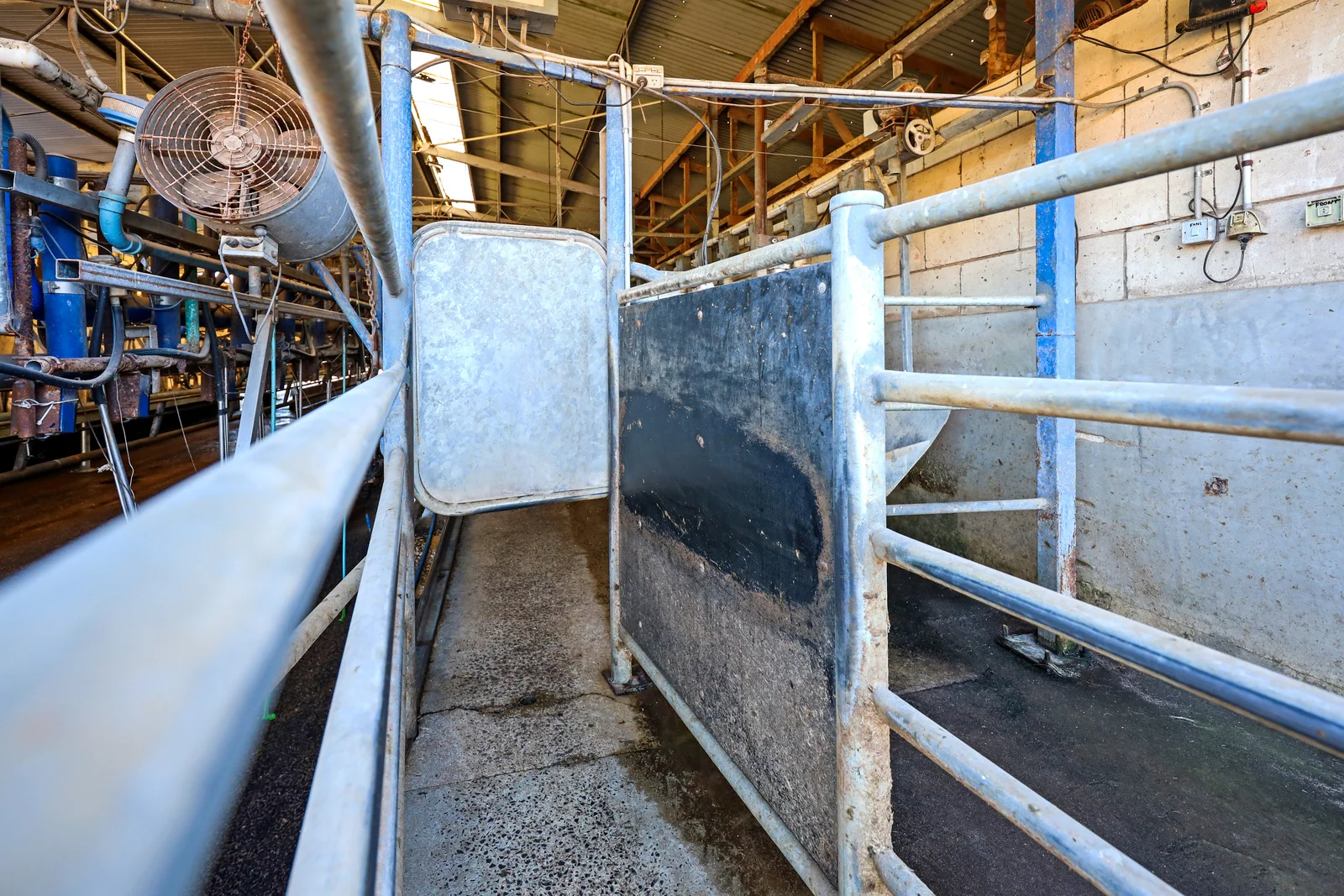 Additional image 19 of 140 Savins Road, Condah VIC 3303